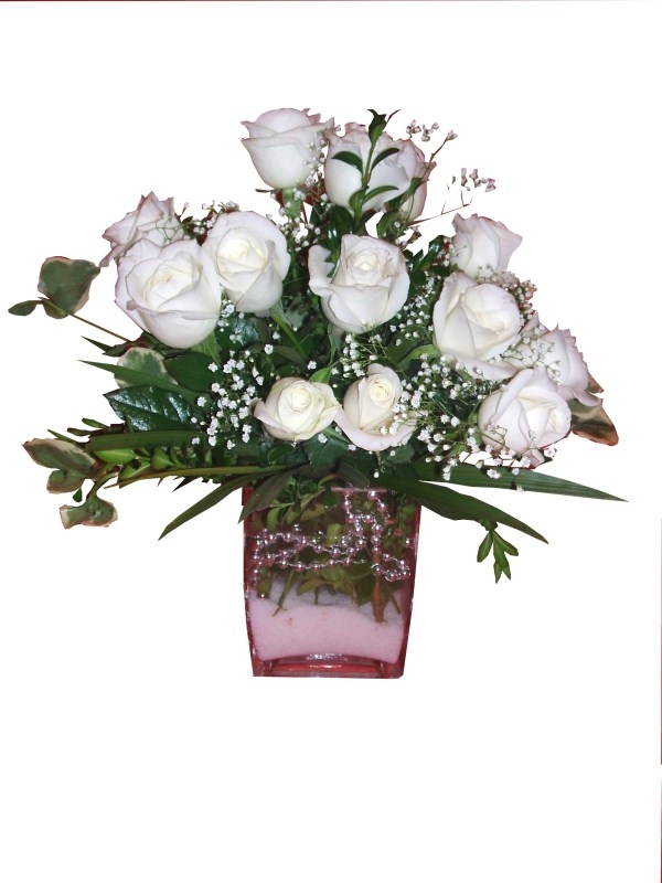 Kare Vazoda Beyaz Güller
